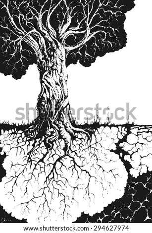 Tree Without Leaves Pencil Drawing Sketch Stock Illustration 522236047