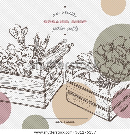 Organic Shop Template With Fruits And Vegetables In Wooden Crates Based On Hand Drawn Sketch Organic Shop Template With Fruits And Vegetables In Wooden Crates Based On Hand Drawn Sketch