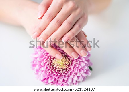 Woman hands with beautiful French manicure holding delicate pink flower