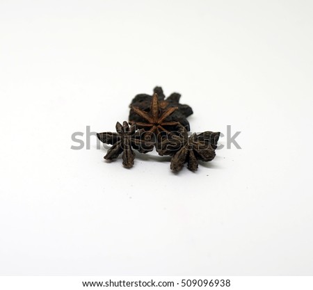  Bunga Lawang Stock Images Royalty Free Images Vectors 