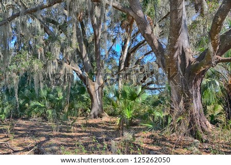 oak forest online dating Actually came from a forest located in central , dating back well prior to ad 1000 tree ring gallery 1: tree ring gallery 2: spectacular. oak forest online dating Actually came from a forest located in central , dating back well prior to ad 1000 tree ring gallery 1: tree ring gallery 2: spectacular.