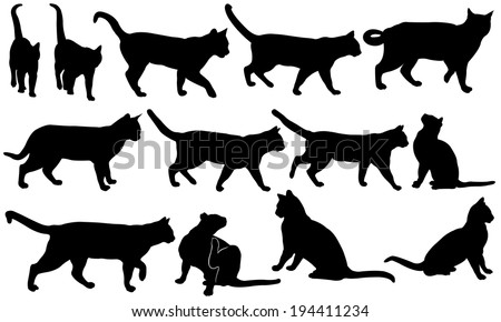 Cat Walk Stock Vectors & Vector Clip Art | Shutterstock