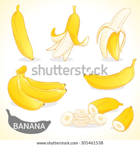 Set of banana fruit in vector and various styles