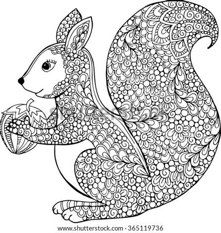 Hand Drawn Vector Outline Squirrel Illustration Decorative Monochrome Drawing