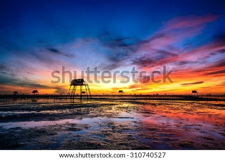 Beautiful landscape: Early morning in Dong Chau beach, Thai Binh, Vietnam