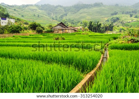 Lanscape in sapa, Laocai, Vietnam