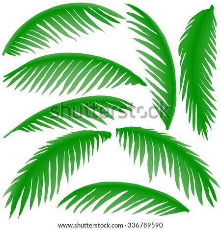 Green Branches Palm Trees Stock Vector 336789590 - Shutterstock