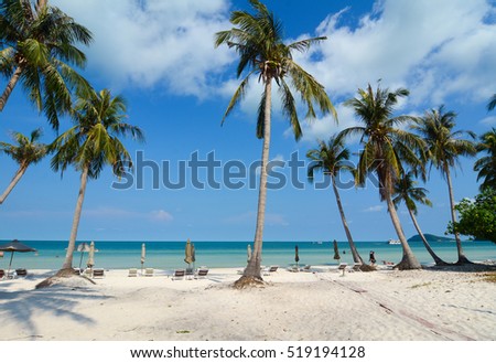 Idyllic tropical beach with many plam trees in sunny day