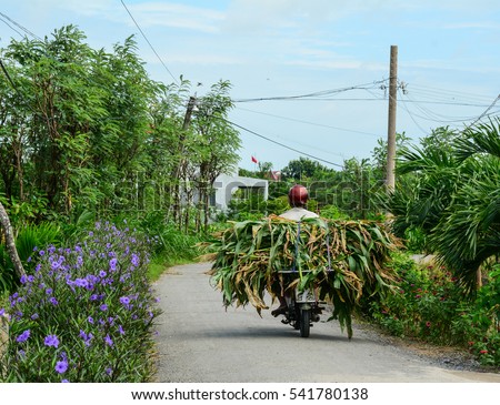 A farmer carrying grass by motorbike on countryside road in Mekong Delta, Vietnam. The Mekong Delta is also Vietnam's most important economy region.