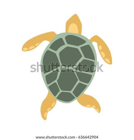 Turtle Stock Images, Royalty-Free Images & Vectors | Shutterstock