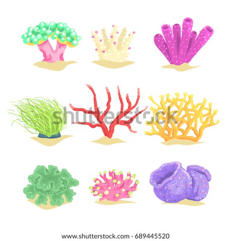 Set Colorful Corals Clamp Starfish Stock Vector 627950489 - Shutterstock