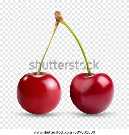 Red cherry. Two ripe berries with stalk. Realistic vector illustration with transparent shadows isolated on plaid background. Sweet fruits. 3d vector icons set for recipe web site, design and business