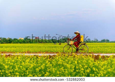 ThaiBinh, Viet Nam, december, 7, 2016: a woman cycling on Council reform at Thai Binh, Viet Nam