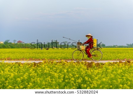 ThaiBinh, Viet Nam, december, 7, 2016: a woman cycling on Council reform at Thai Binh, Viet Nam
