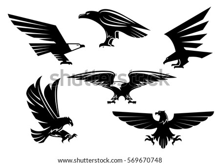 Hawk Stock Images, Royalty-Free Images & Vectors | Shutterstock
