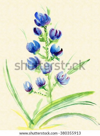 Angiosperm Stock Photos Royalty-Free Images Vectors