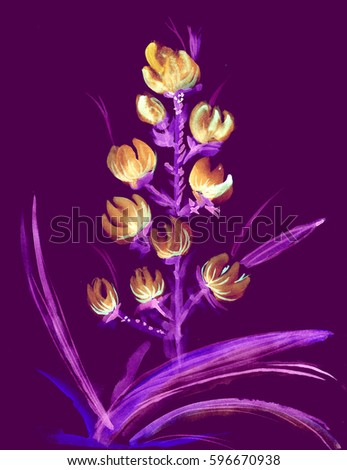 Dicotyledon Stock Images Royalty-Free Images Vectors Shutterstock