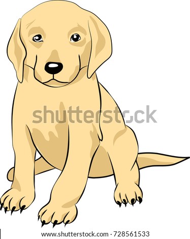 Cartoon Vector Labrador Retriever Sitting Puppy Stock Vector 728561533 ...