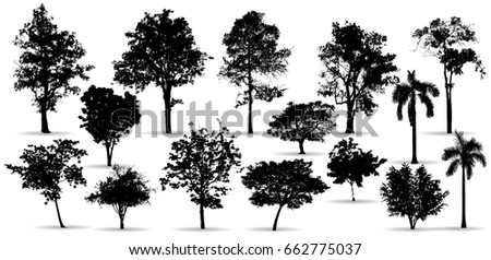 NIKHOMKEDBAN's Portfolio on Shutterstock