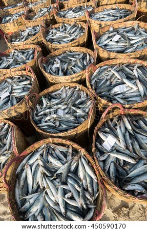 LONG HAI, VIETNAM - 03 JULY 2016: Fresh fish piled up in bamboo baskets at Long Hai fishing port, Ba Ria Vung Tau province