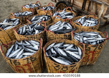 LONG HAI, VIETNAM - 03 JULY 2016: Fresh fish piled up in bamboo baskets at Long Hai fishing port, Ba Ria Vung Tau province