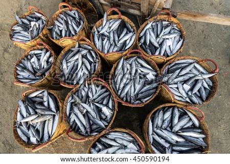 LONG HAI, VIETNAM - 03 JULY 2016: Fresh fish piled up in bamboo baskets at Long Hai fishing port, Ba Ria Vung Tau province