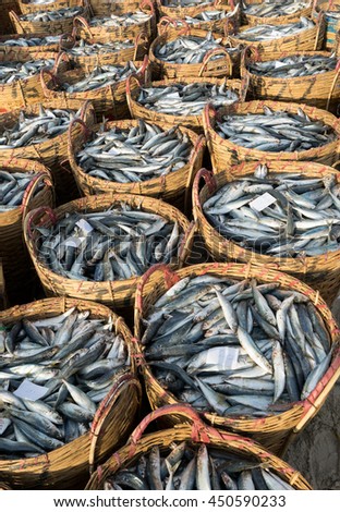 LONG HAI, VIETNAM - 03 JULY 2016: Fresh fish piled up in bamboo baskets at Long Hai fishing port, Ba Ria Vung Tau province