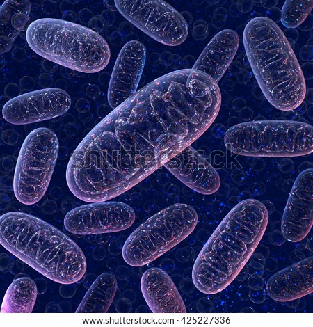 Mitochondria on a dark blue background. 3d illustration