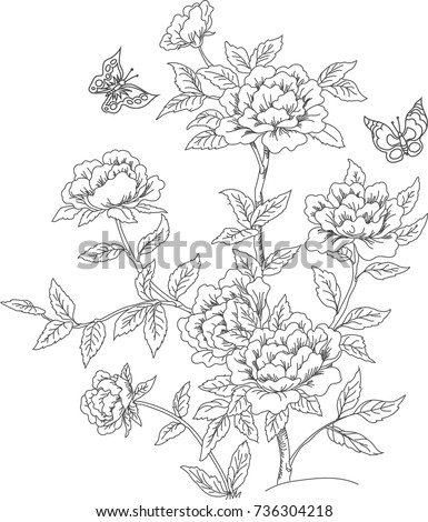 Set Floral Compositions Bouquets Hand Drawn Stock Vector 601339286