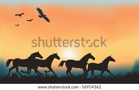 Horse runs on water Stock Photos, Images, & Pictures | Shutterstock