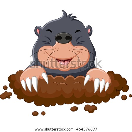 Cartoon Mole Stock Images, Royalty-Free Images & Vectors | Shutterstock