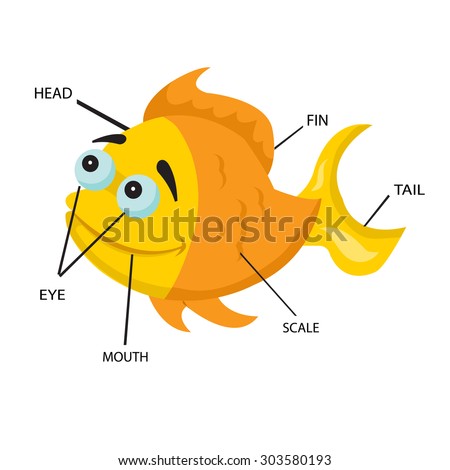 Fish Anatomy Stock Images, Royalty-Free Images & Vectors | Shutterstock