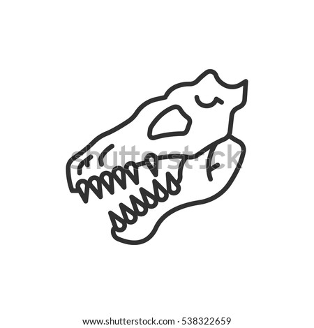 dinosaur head skeleton