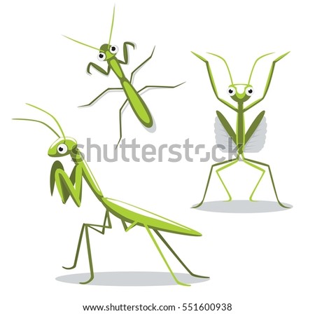 Praying Mantis Stock Images, Royalty-Free Images & Vectors | Shutterstock