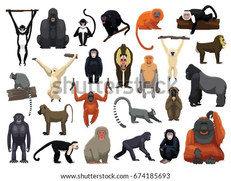 Monkey Stock Images, Royalty-Free Images & Vectors | Shutterstock