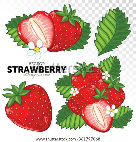 Strawberry Isolated on White Background