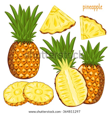 Composition of Pineapple on white background