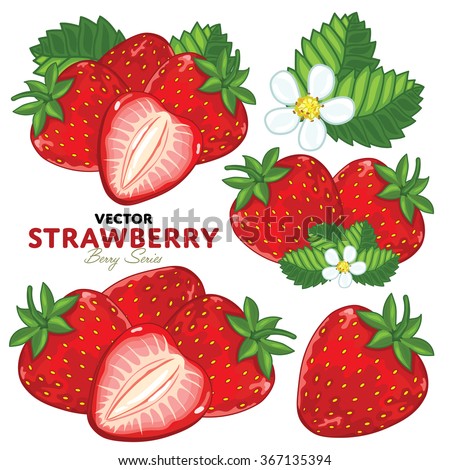 Strawberry on White Background. Ripe and Juicy