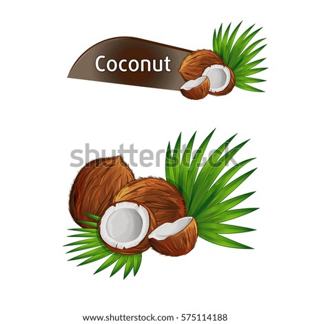 Coconut with half and green palm leaves set isolated on white background vector illustration. Organic food ingredient, natural tropical product. Coconut fruit with green palm leaves collection.