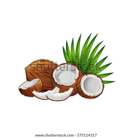 Coconut with half and green palm leaves set isolated on white background vector illustration. Organic food ingredient, natural tropical product. Coconut fruit with green palm leaves collection.
