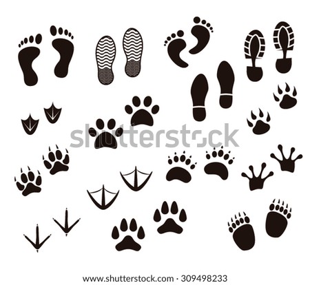 Download Rabbit Paw Print Stock Images, Royalty-Free Images ...