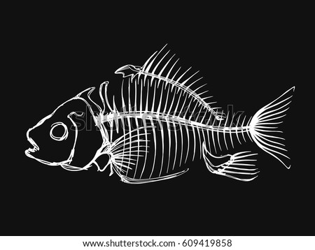 Skeleton Fish Vector Stock Vector 609419858 - Shutterstock