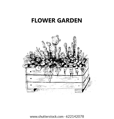 Vector illustration of a sketch on the theme of gardening. Wooden box with flowers. Black and white free-hand sketch. Isolated on white background