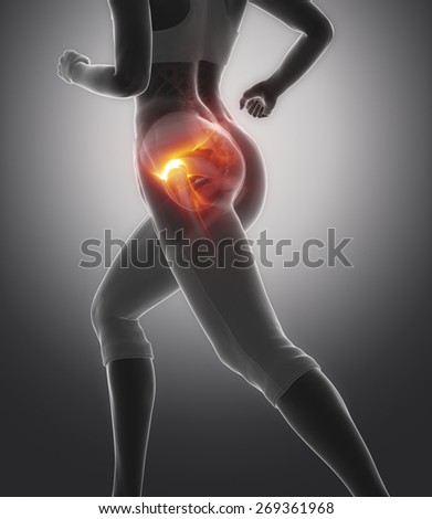 Femur Stock Photos, Images, & Pictures | Shutterstock