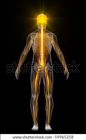Body Energy Stock Images, Royalty-Free Images & Vectors | Shutterstock