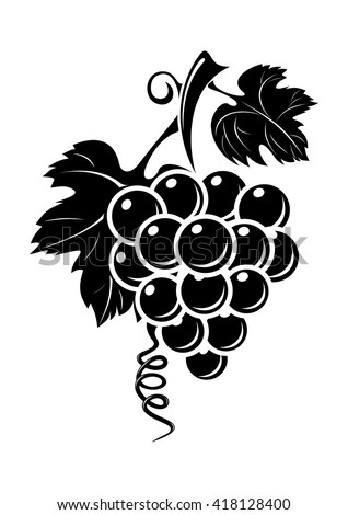Black grapes icon isolated on white background. Black silhouette of grapes. Bunch of grapes. Vector illustration
