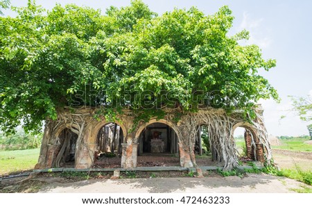 Communal house in the village, an ancient temple called Go Tao in Tan Dong, Go Cong, Tien Giang Province, built in 1907. The ancient temple with banyan tree is the symbol of rural village in Vietnam.