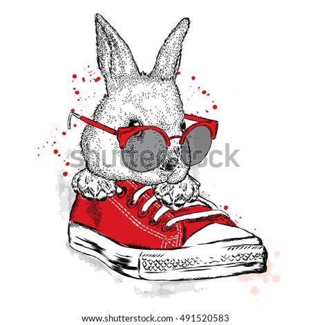 Download Rabbit Wearing Glasses Stock Images, Royalty-Free Images ...