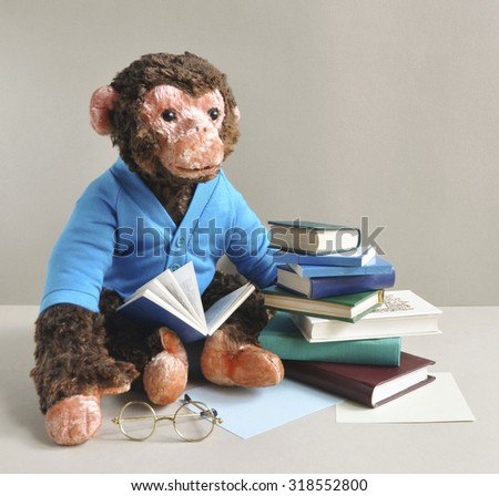 Monkey Reading Book Stock Images Royalty Free Images Amp Vectors Shutterstock