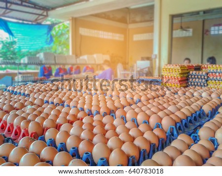 Abstract soft blurred the employees were sorting eggs in the chicken farm with the beam ,light and lens flare effect tone.